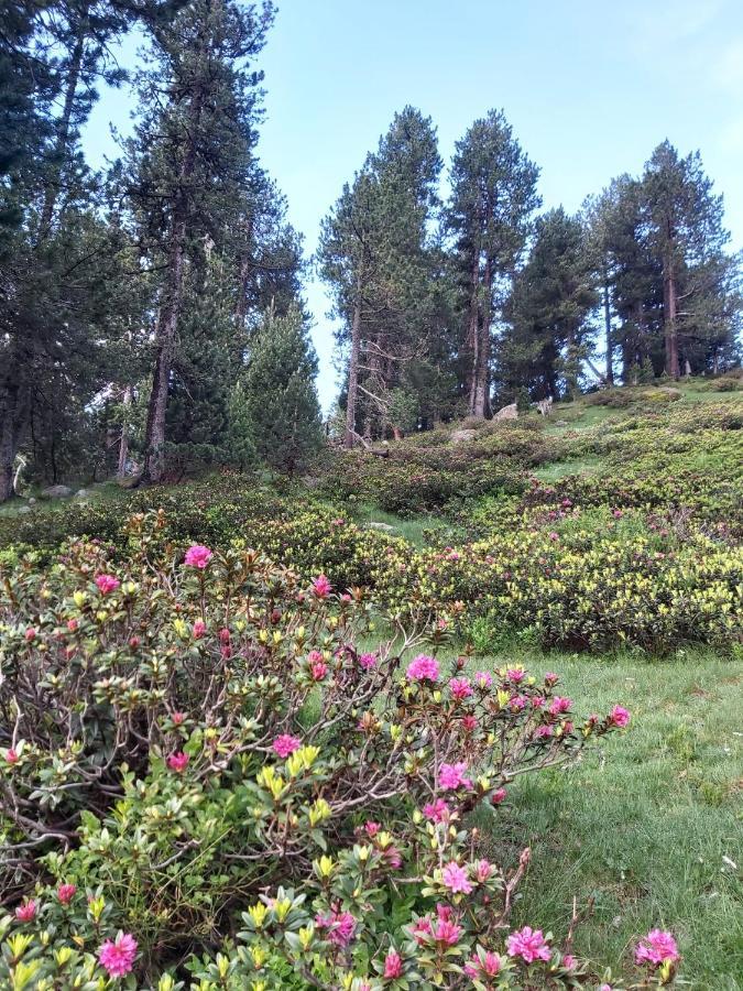 Appartamento Casa Marcos Benasque Esterno foto
